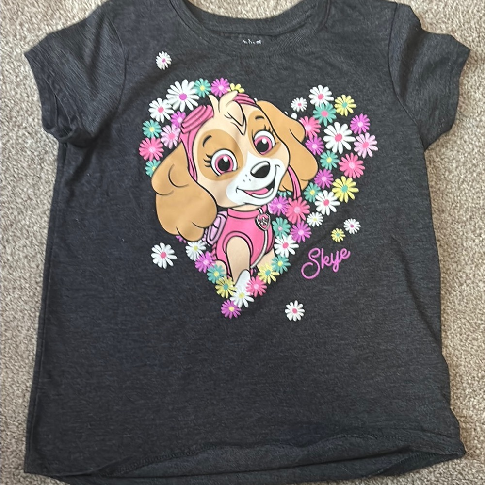 Paw Patrol Skye Gray and Pink Short Sleeve Tee